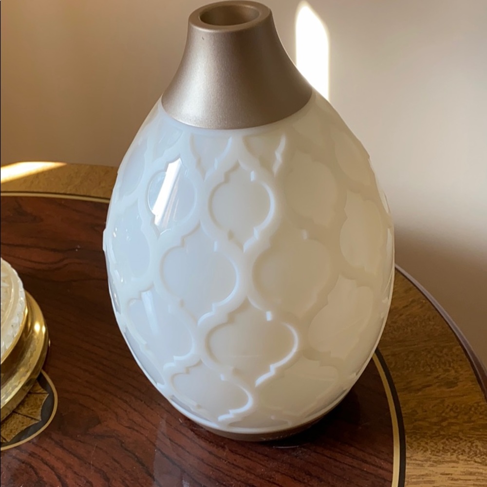 Young living Desert Mist essential oil diffuser